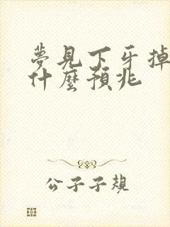 梦见下牙掉了有什么预兆