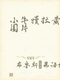 小牛犊拉黄屎的图片