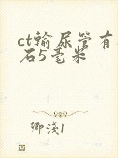 ct输尿管有结石5毫米