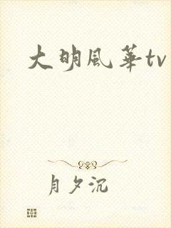 大明风华tv版