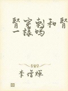 肾穿刺和肾活检一样吗