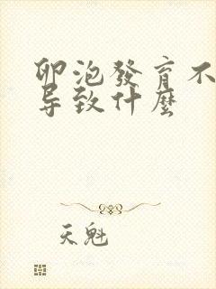 卵泡发育不好会导致什么