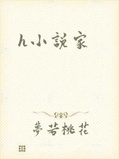 h小说家