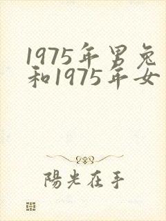 1975年男兔和1975年女兔婚配好吗