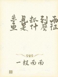 梦见抓到两条大鱼是什么征兆