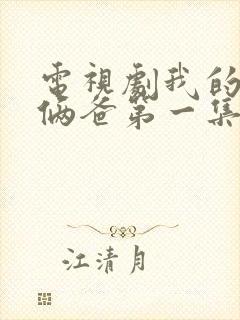 电视剧我的仨妈俩爸第一集