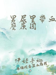 男尿里带血是什么原因