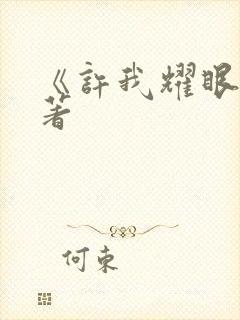 《许我耀眼》原著