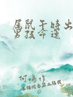 属鼠午时出生的男孩命运