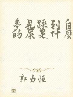 梦见踩到自己拉的屎是什么预兆