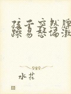 孩子突然脾气暴躁易怒偏激