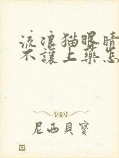 流浪猫眼睛流脓不让上药怎么办