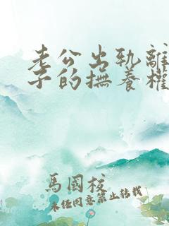 老公出轨离婚孩子的抚养权归谁