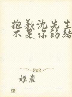 抱歉沈先生孩子不是你的结局