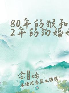 80年的猴和82年的狗婚姻