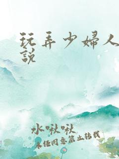 玩弄少妇人妻小说
