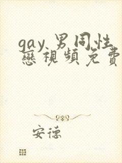 gay 男同性恋视频免费在线播放
