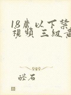 18岁以下禁看视频 三级黄