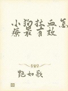 小狗拉血怎么治疗最有效