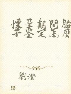 怀孕期间胎儿亲子鉴定怎么做