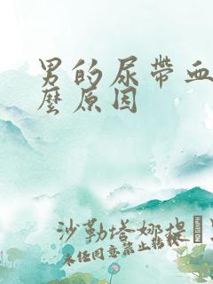 男的尿带血是什么原因