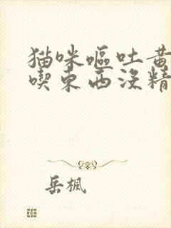 猫咪呕吐黄水不吃东西没精神