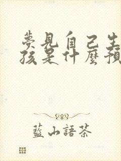 梦见自己生了男孩是什么预兆