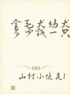 金毛犬幼犬价格多少钱一只