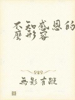 不知感恩的人怎么形容