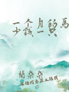 一个月的马犬多少钱一只