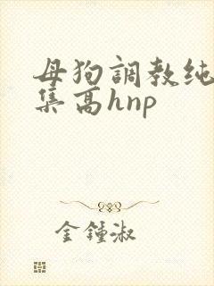 母狗调教纯肉合集高hnp