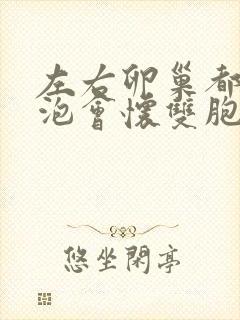 左右卵巢都有卵泡会怀双胞胎吗