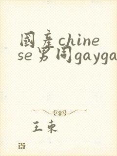 国产chinese男同gaygay