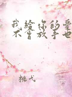 我给你的爱永远不会放手也不会离开是什么歌