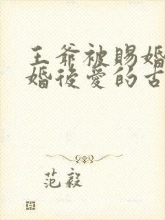 王爷被赐婚的先婚后爱的古言小说