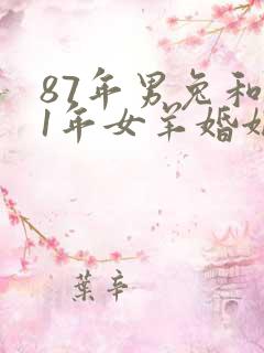 87年男兔和91年女羊婚姻相配吗