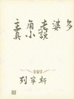 主角老婆多的修真小说