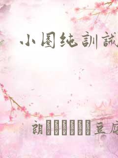 小圈纯训诫文