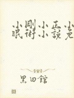 小刚小正小柔催眠术小说免费阅读