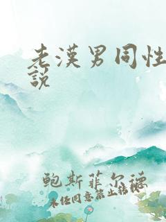 老汉男同性恋小说
