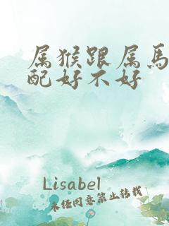 属猴跟属马的婚配好不好