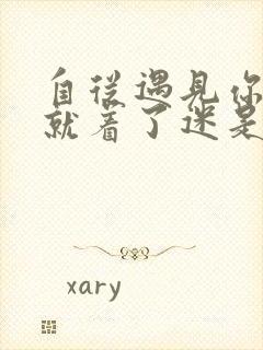 自从遇见你心中就着了迷是什么歌