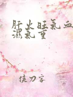 肝火旺气血两虚湿气重