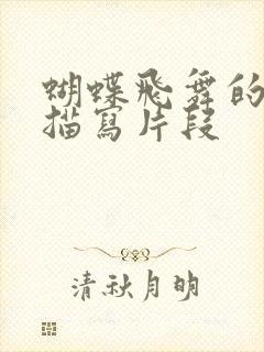 蝴蝶飞舞的动作描写片段