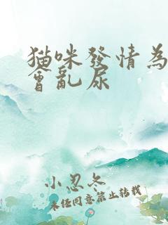 猫咪发情为什么会乱尿