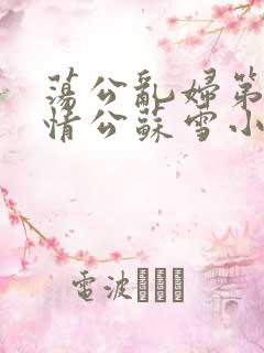 荡公乱妇第1章情公苏雪小说