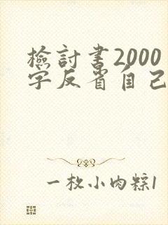 检讨书2000字反省自己打架