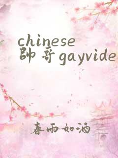 chinese帅哥gayvideo