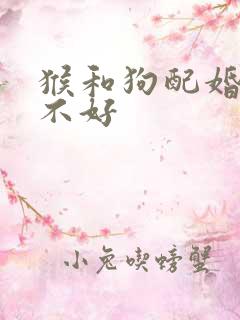 猴和狗配婚姻好不好