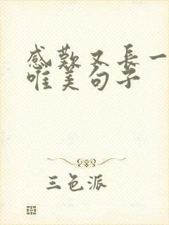 感叹又长一岁的唯美句子